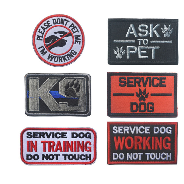 PTSD SERVICE DOG IN TRAINING DO NOT TOUCH Patches Working DOG THERAPY  TRAINING dog Tactical k9